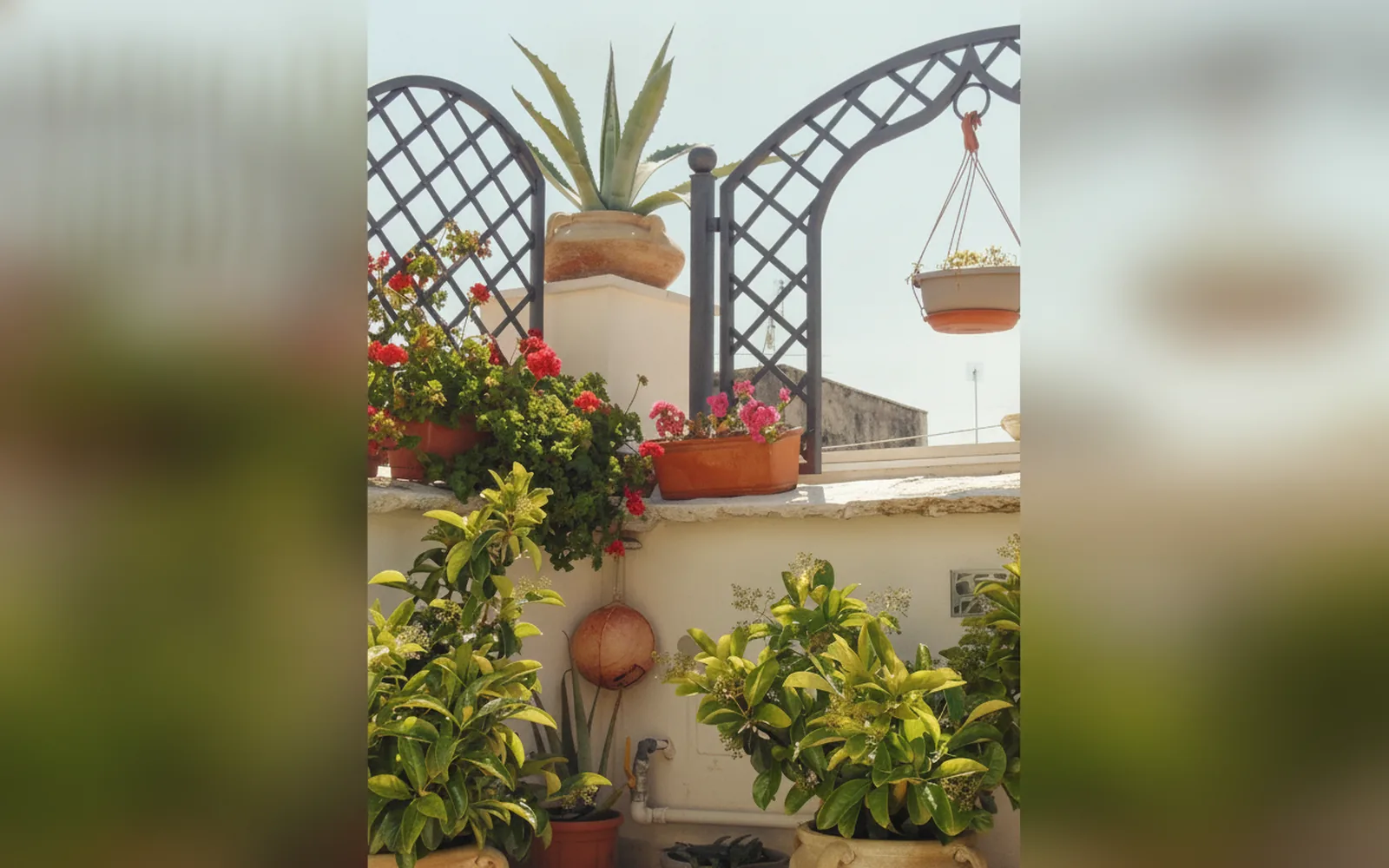 3 Archi B&B, Trani (Puglia) — galleria foto 112