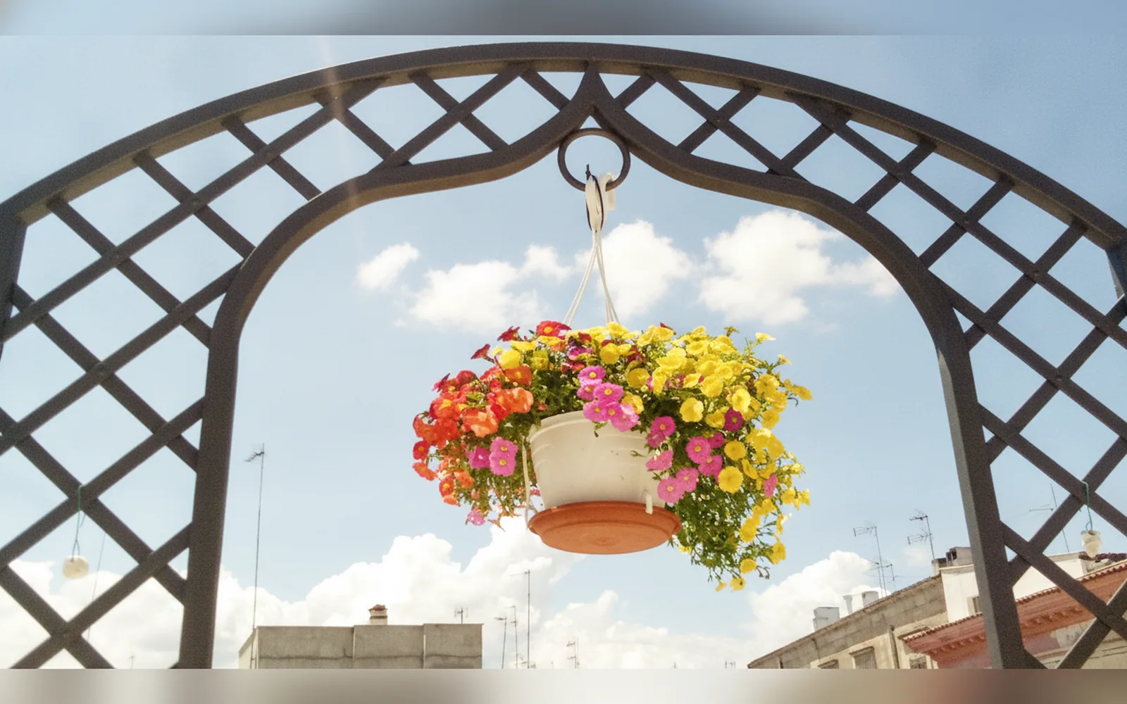 3 Archi B&B, Trani (Puglia) — galleria foto 113