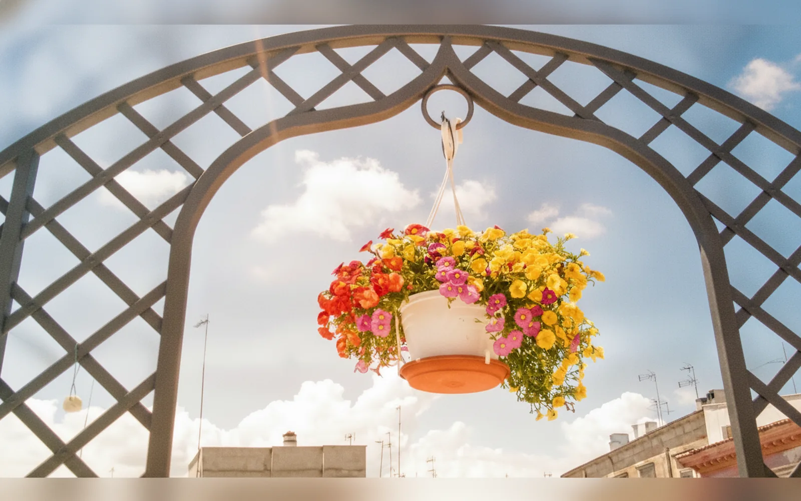 3 Archi B&B, Trani (Puglia) — galleria foto 114