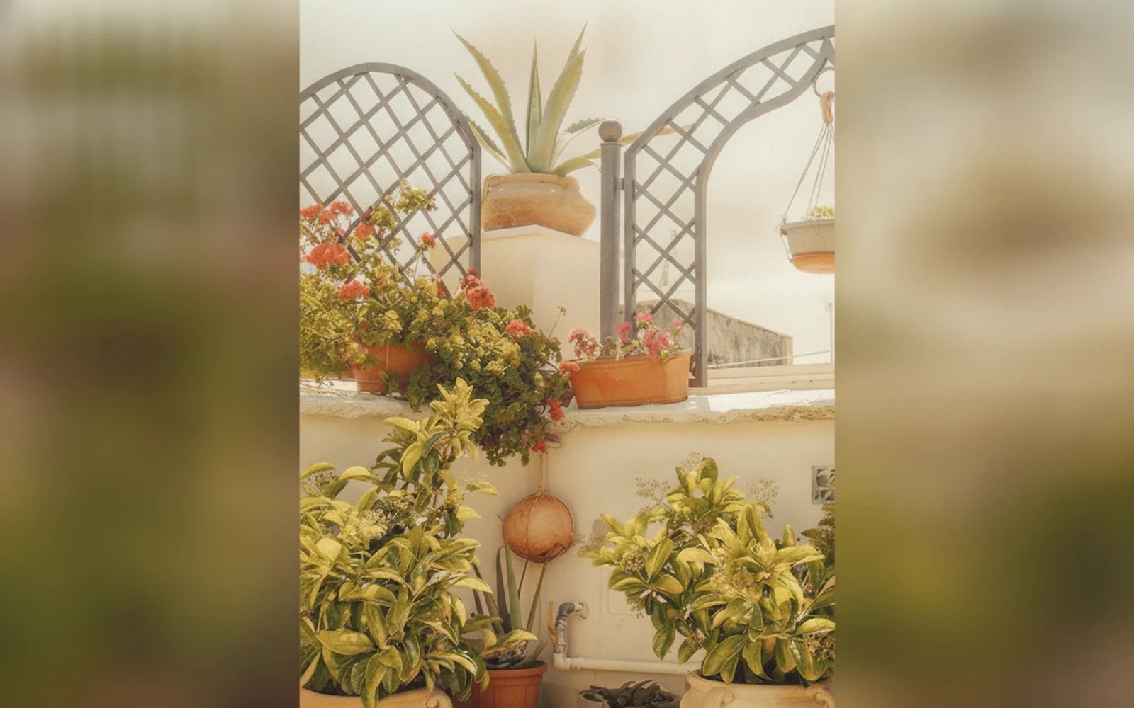 3 Archi B&B, Trani (Puglia) — galleria foto 115