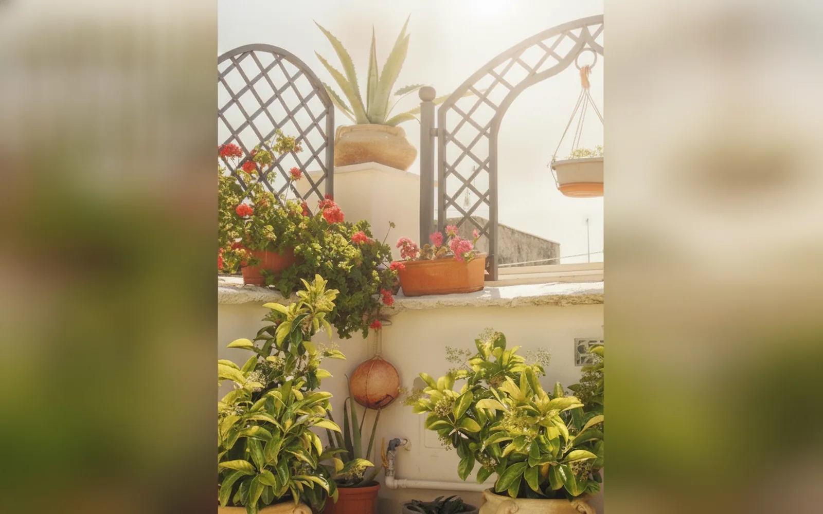 3 Archi B&B, Trani (Puglia) — galleria foto 116