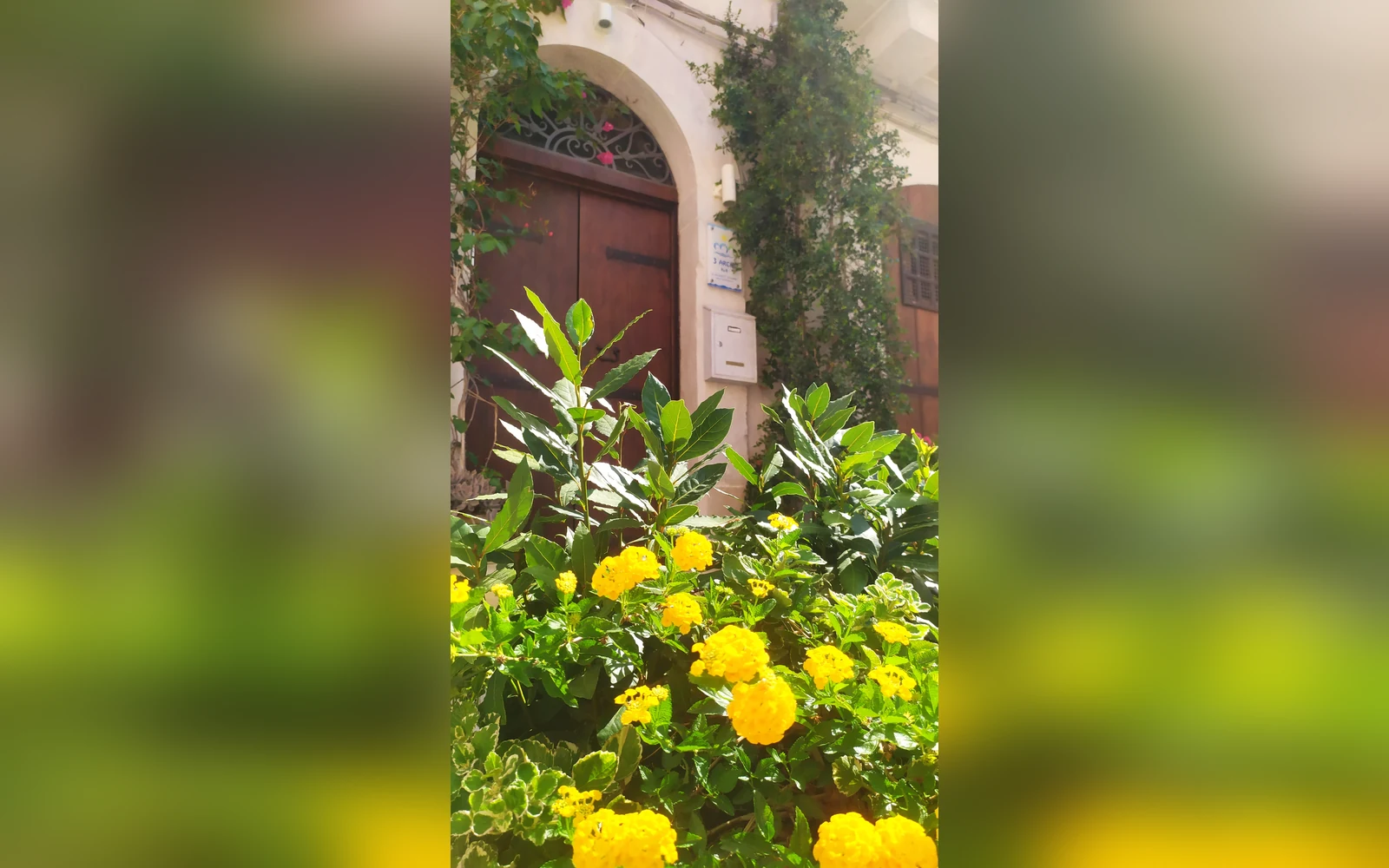 3 Archi B&B, Trani (Puglia) — galleria foto 15